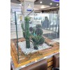 اجرای گل و گیاه مصنوعی برای لابی بیمارستان آیت الله کاشانی
